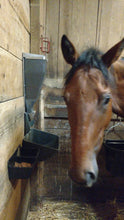 Load image into Gallery viewer, iFEED For Inside Stall Installation