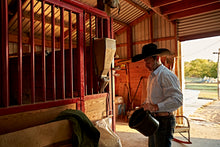 Load image into Gallery viewer, iFEED For Outside Stall Installation